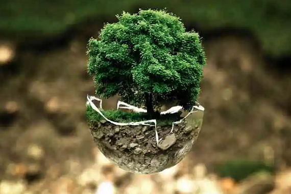 Три вредные привычки, которые приводят к маленьким экологическим катастрофам